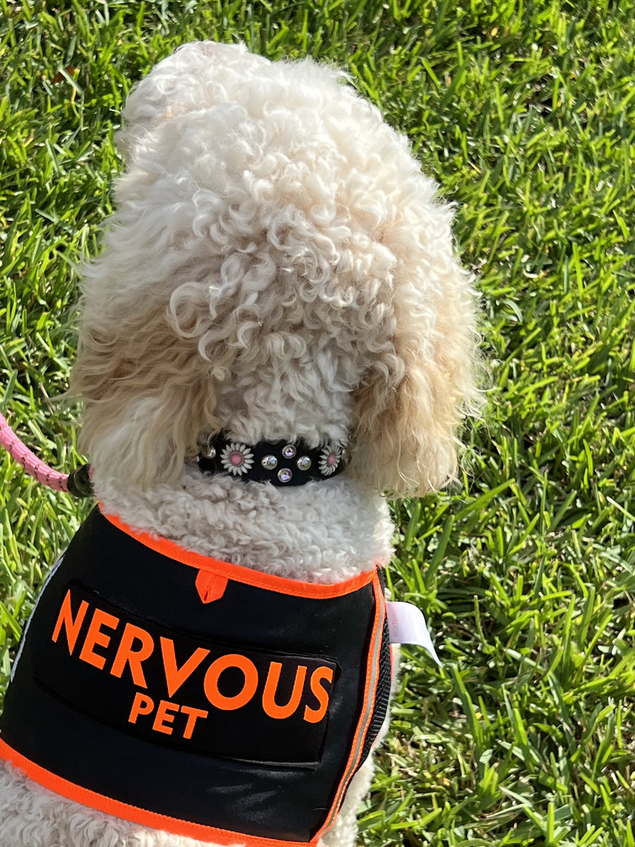 NERVOUS DOG ALERT VEST by SHONGear SHONGear Designs