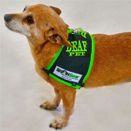 Protect Your Deaf Dog with Our High-Visibility Safety Vest