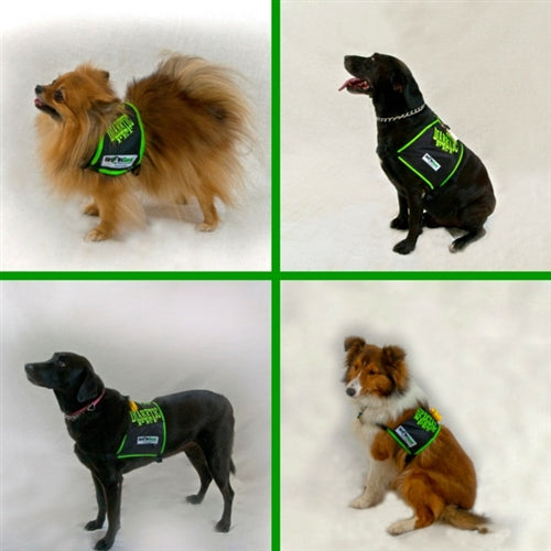 DIABETIC DOG SAFETY VEST by SHONGear