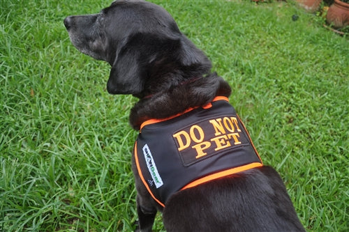 DO NOT PET DOG VEST by SHONGear