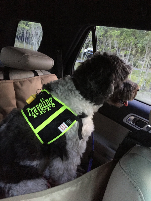 TRAVELING DOG SAFETY VEST by SHONGear