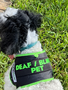 DEAF-BLIND DOG VEST by SHONGear