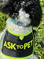 ASK TO PET DOG VEST by SHONGear