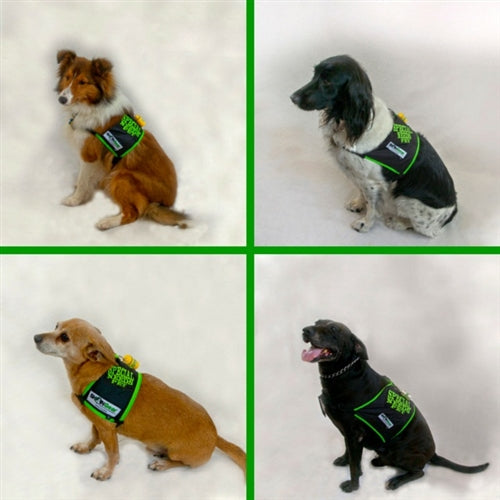 SPECIAL NEEDS DOG SAFETY VEST by SHONGear