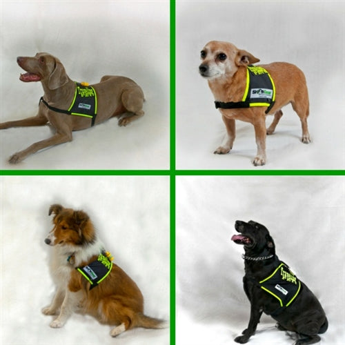 TRAVELING DOG SAFETY VEST by SHONGear