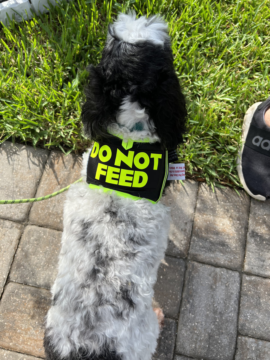 DO NOT FEED DOG SAFETY VEST by SHONGear SHONGear Designs