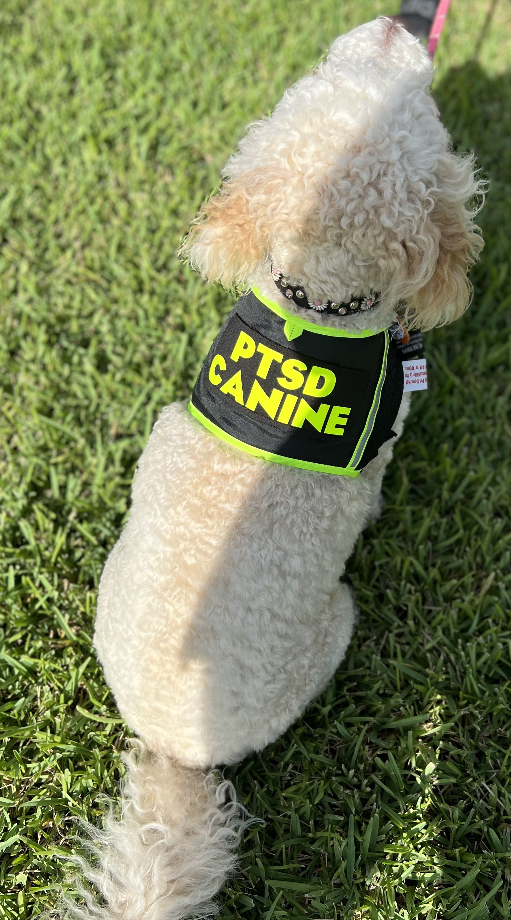 PTSD CANINE DOG VEST by SHONGear