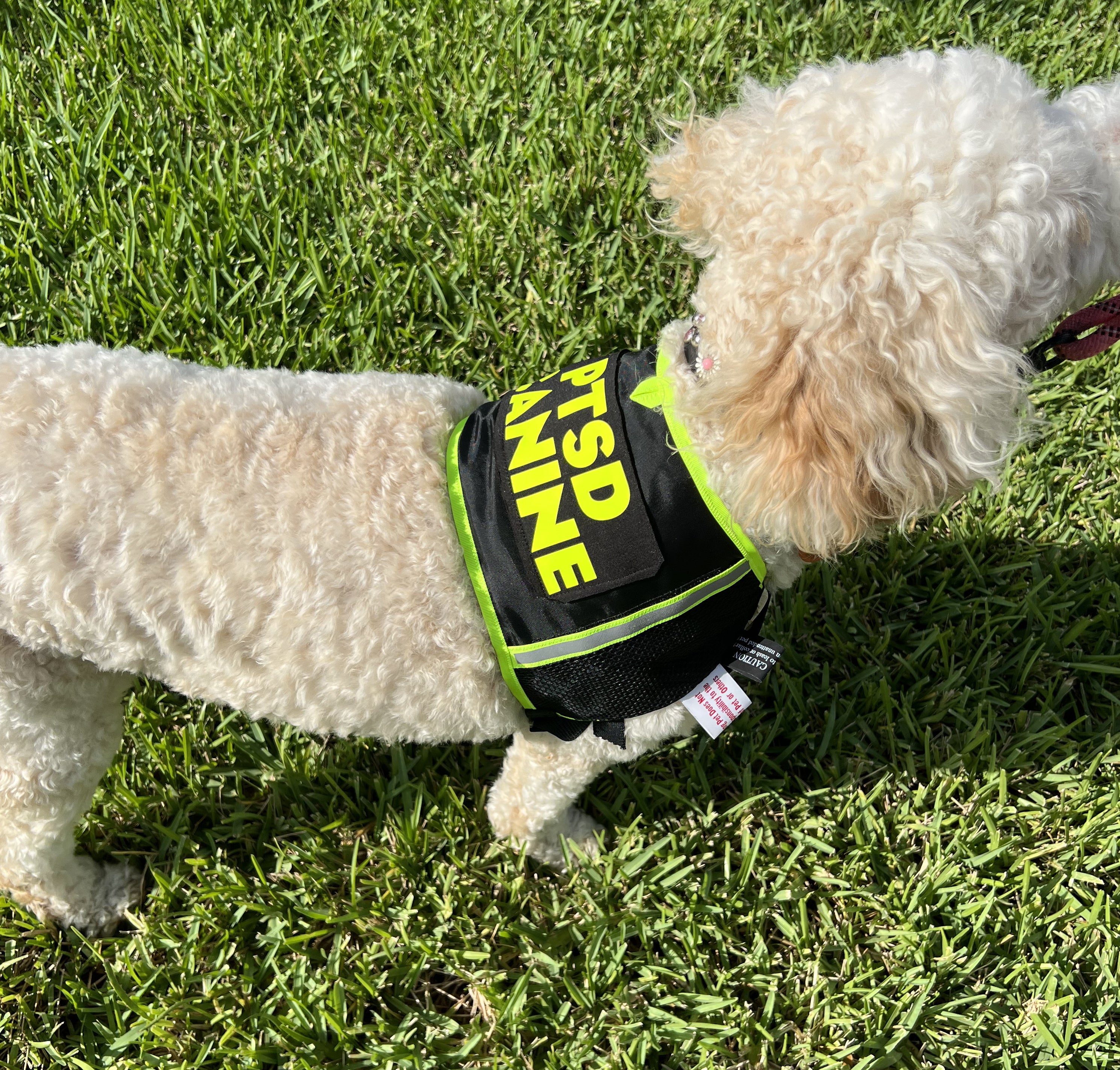 PTSD CANINE DOG VEST by SHONGear